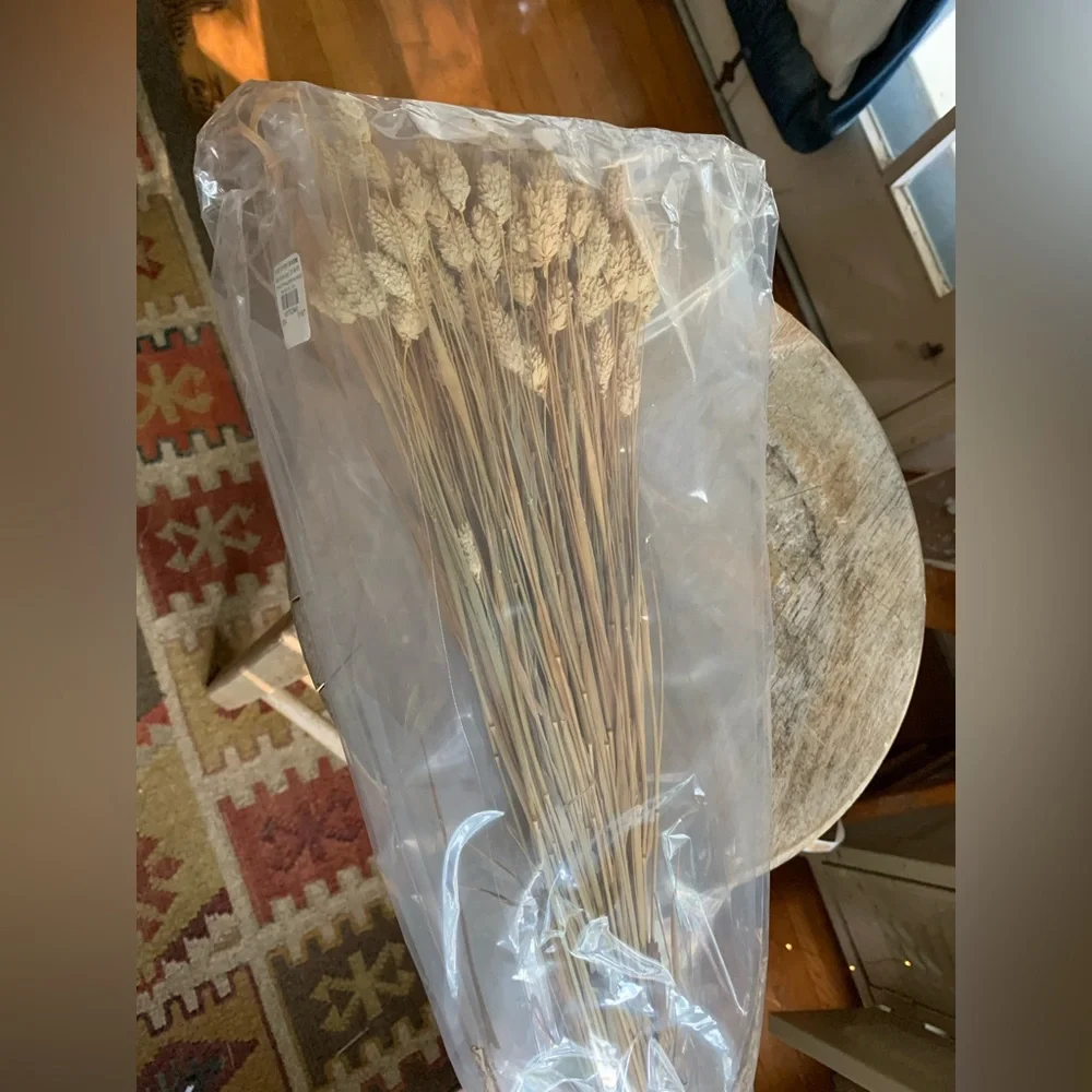 Faux Dried Phalaris Bundle